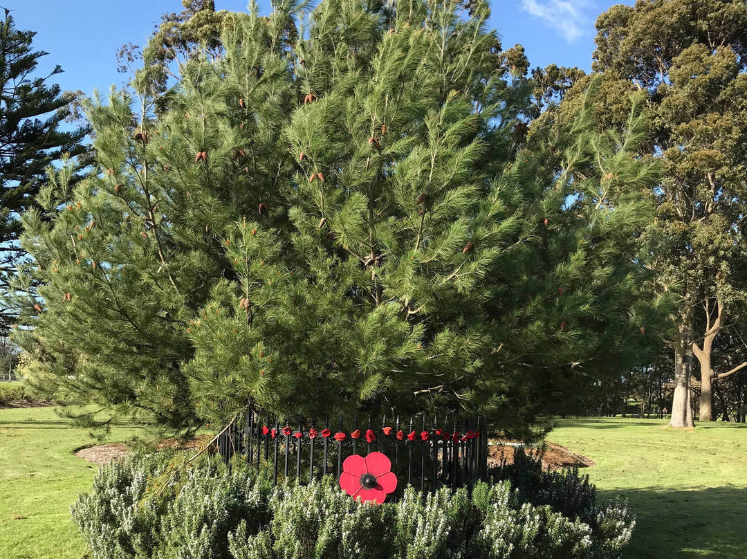 Victory Park-特拉拉尔根必去景点