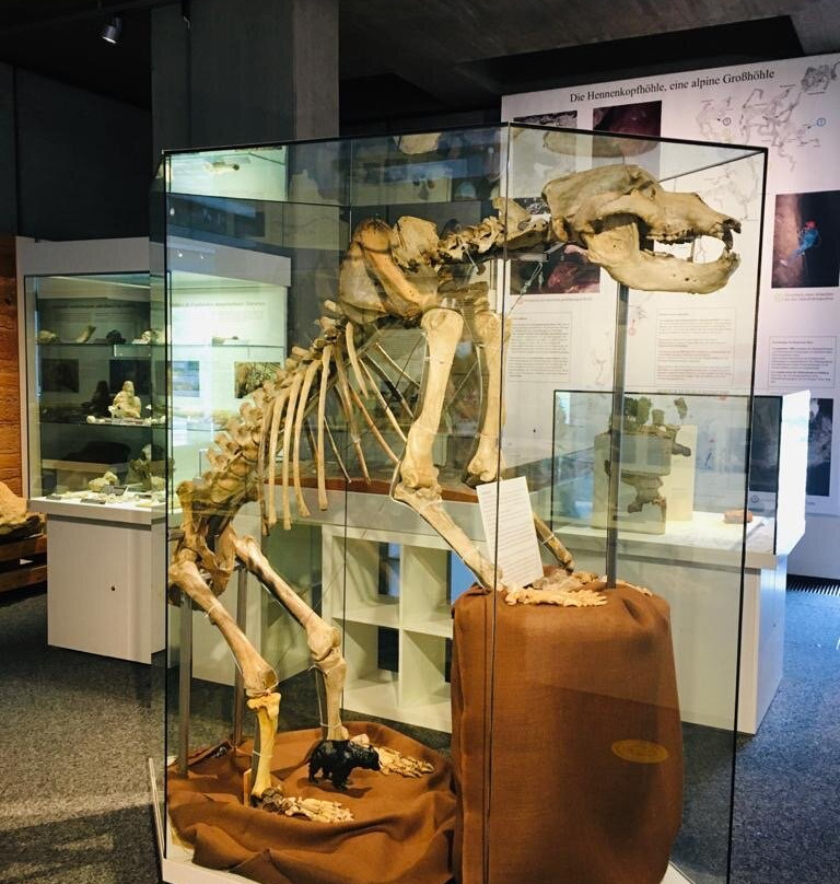 Naturhistorisches Museum-纽伦堡必去景点