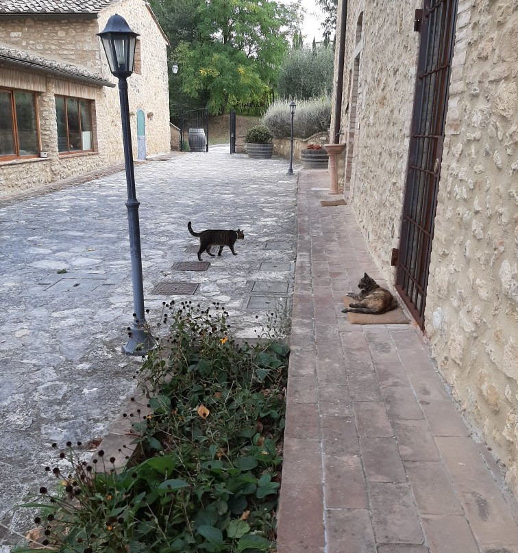 Agriturismo Croce di Bibbiano主图