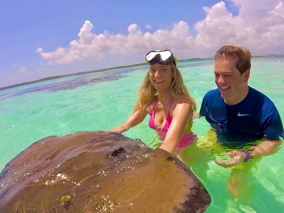 Stingray City景点图片