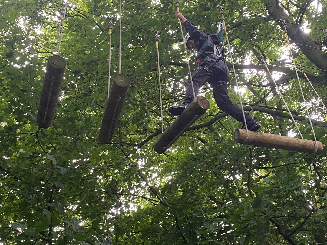 Raven Tree Top Adventure景点图片