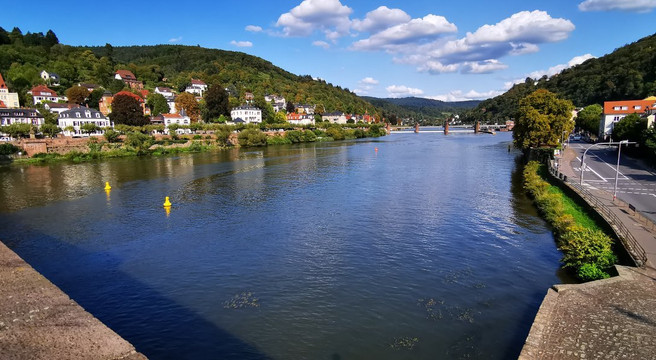 Wohlfuhl-Hotel Neu Heidelberg主图