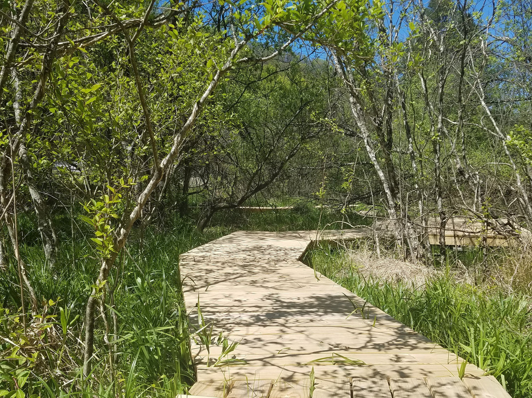 Inn on Mill Creek主图