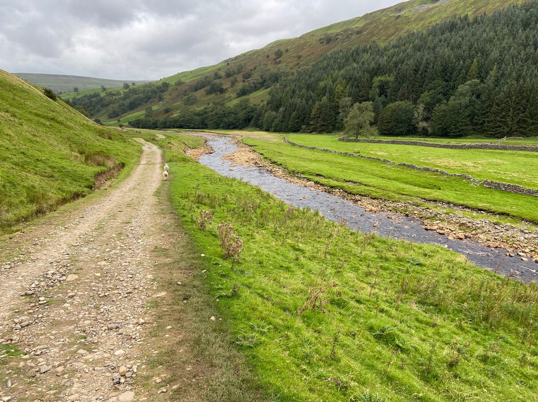 The Swale Trail景点图片