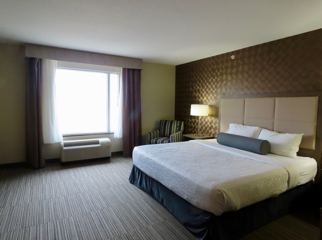 Canalta Kindersley主图