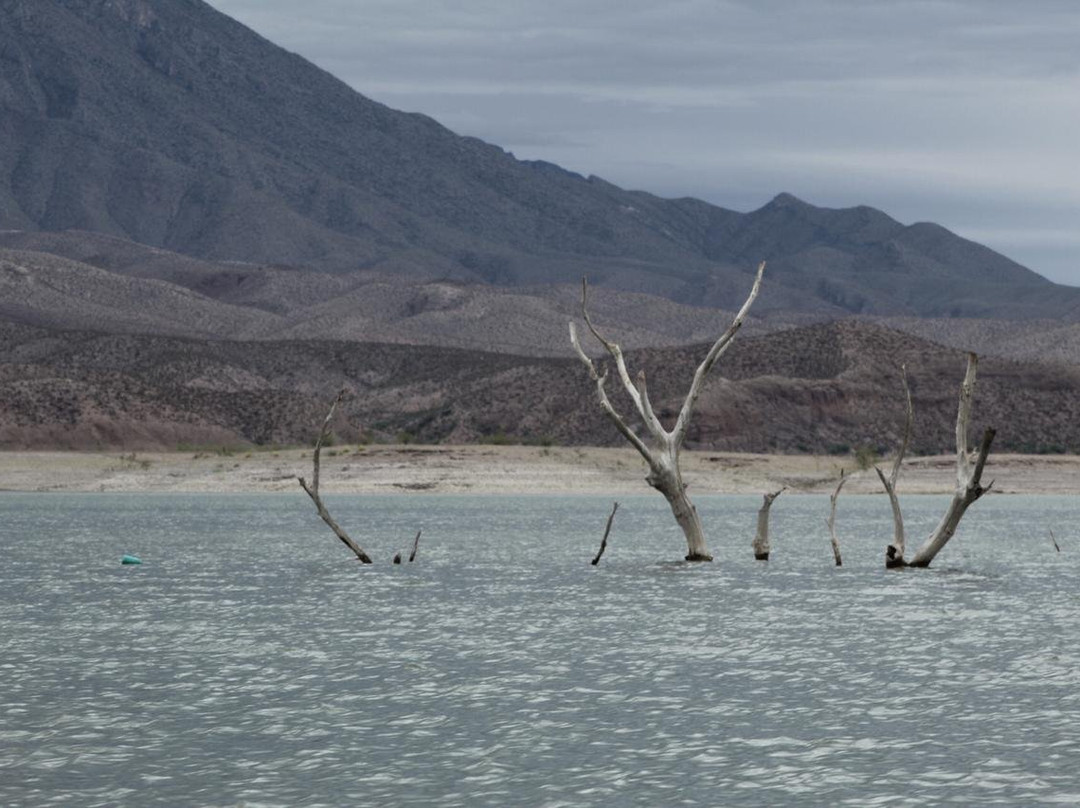 Entre Encantos Y Sabores, Aldama-Aldama必去景点
