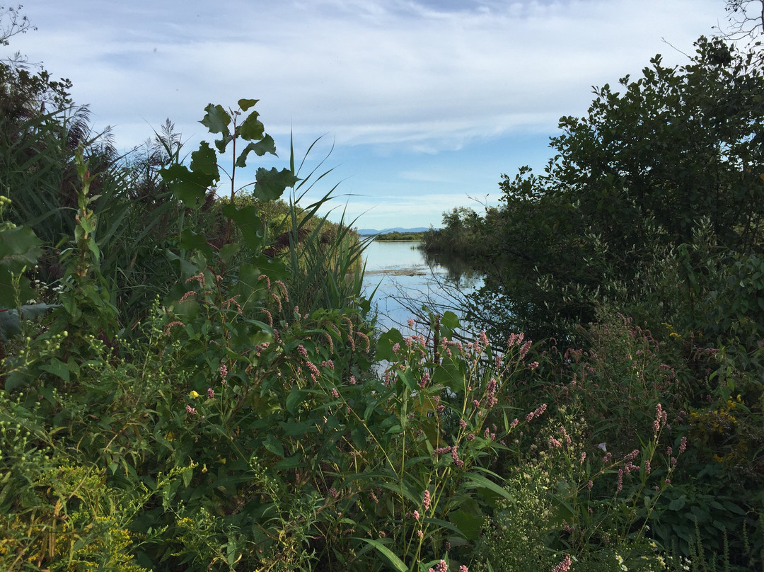 Cooper Marsh Conservation Area-Lancaster必去景点