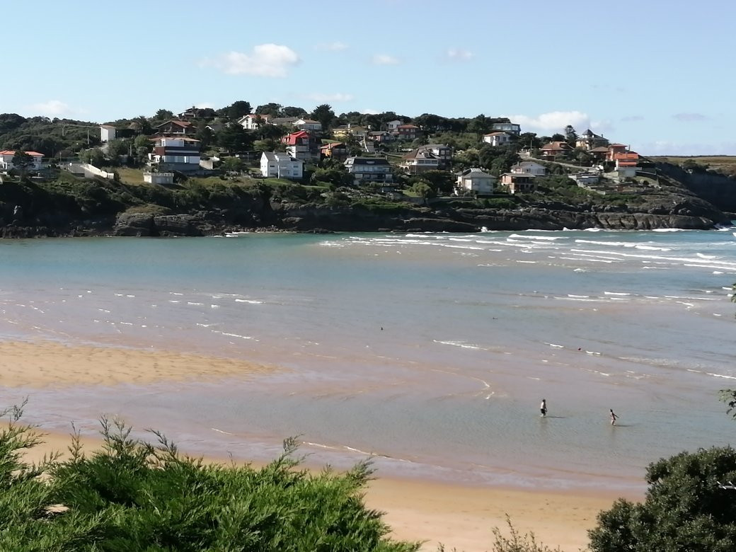 Playa de La Arena景点图片