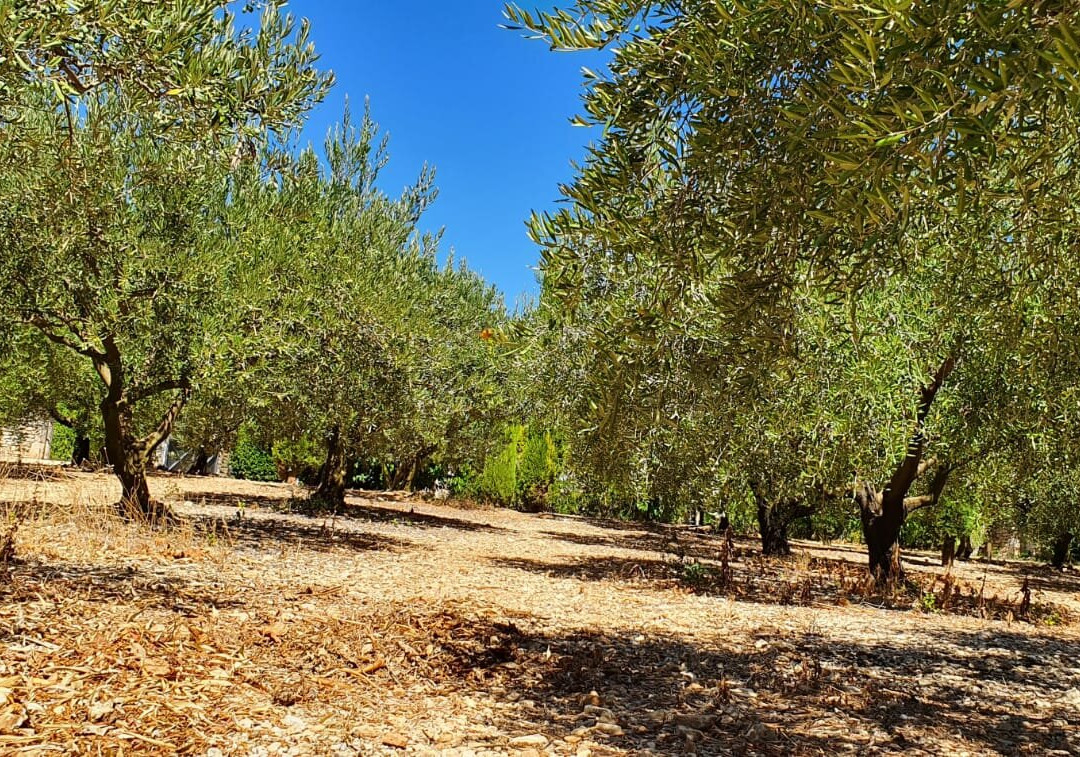 La Bastide des Muriers主图