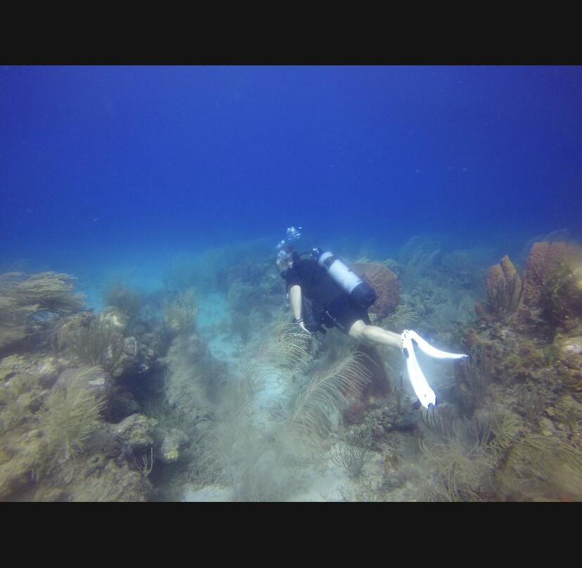 Les Baillantes Tortues-Pointe-Noire必去景点