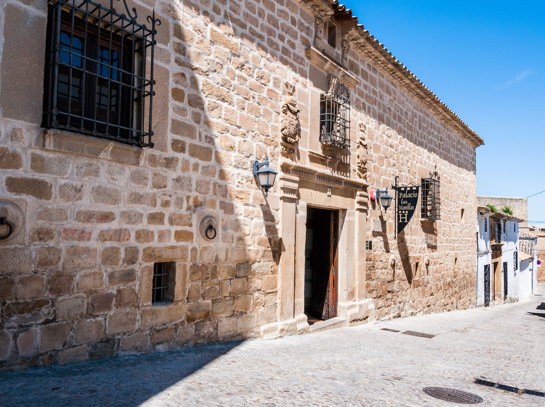 Palacio Las Manillas主图