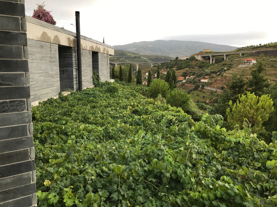 Quinta do Vallado主图