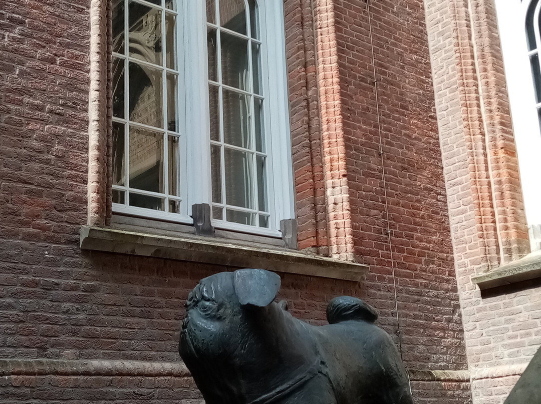 Moyland Castle-Bedburg-Hau必去景点