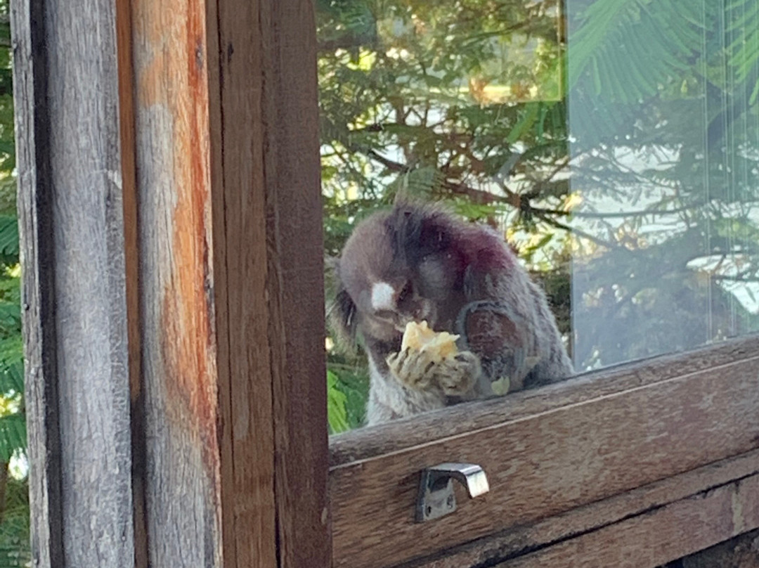 Maria Do Mar Hotel主图