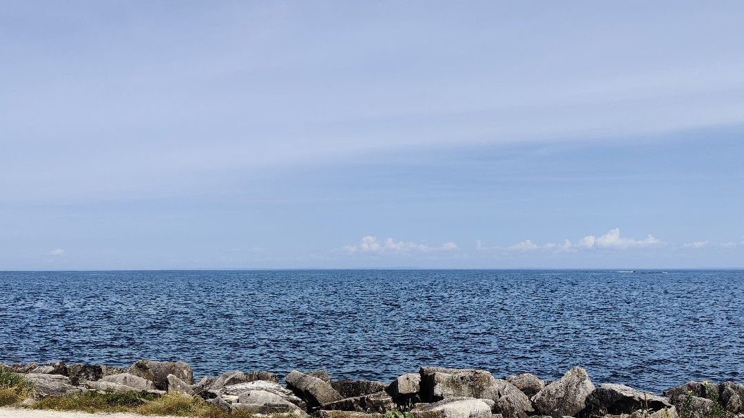 Millennium Park-科林伍德必去景点