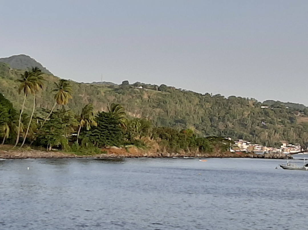 Découverte des Dauphins avec Jean-Guy-Le Precheur必去景点