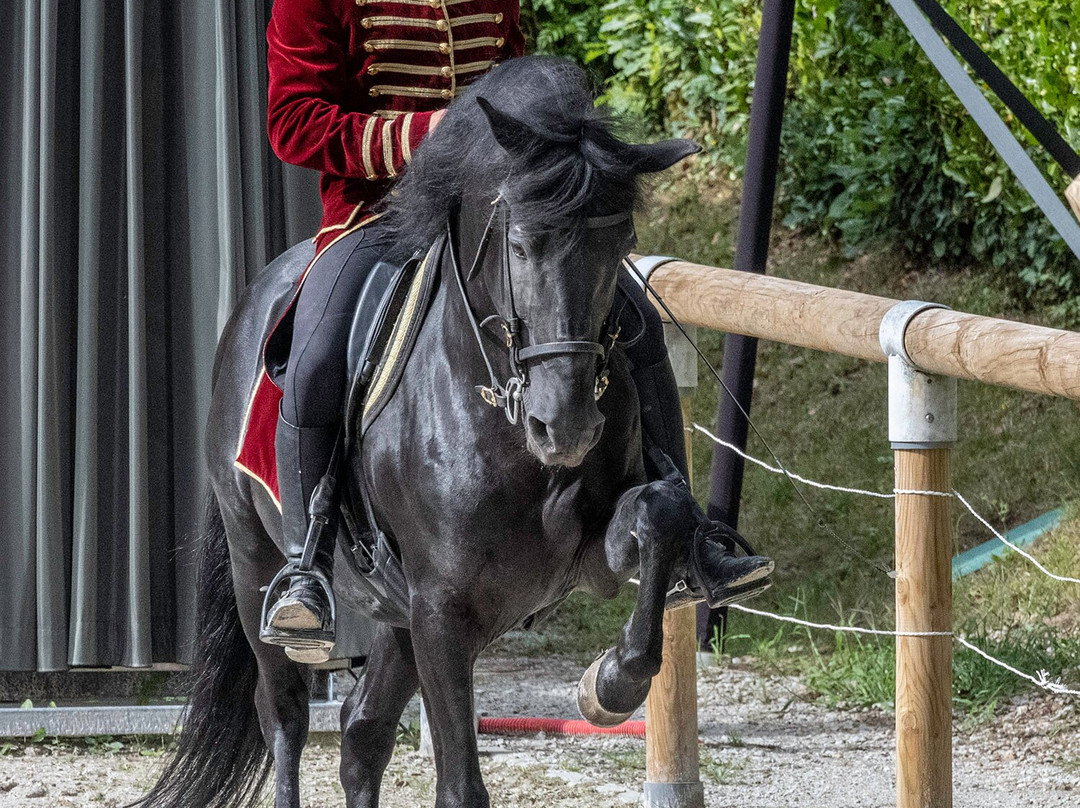 Haras De La Vendée景点图片
