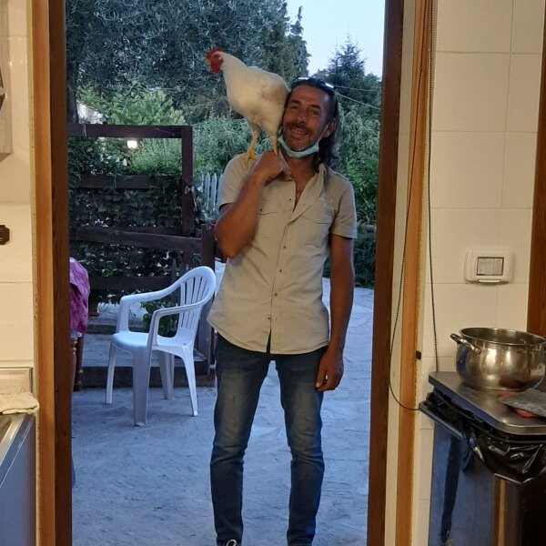 Agriturismo La Pineta di Polverara主图