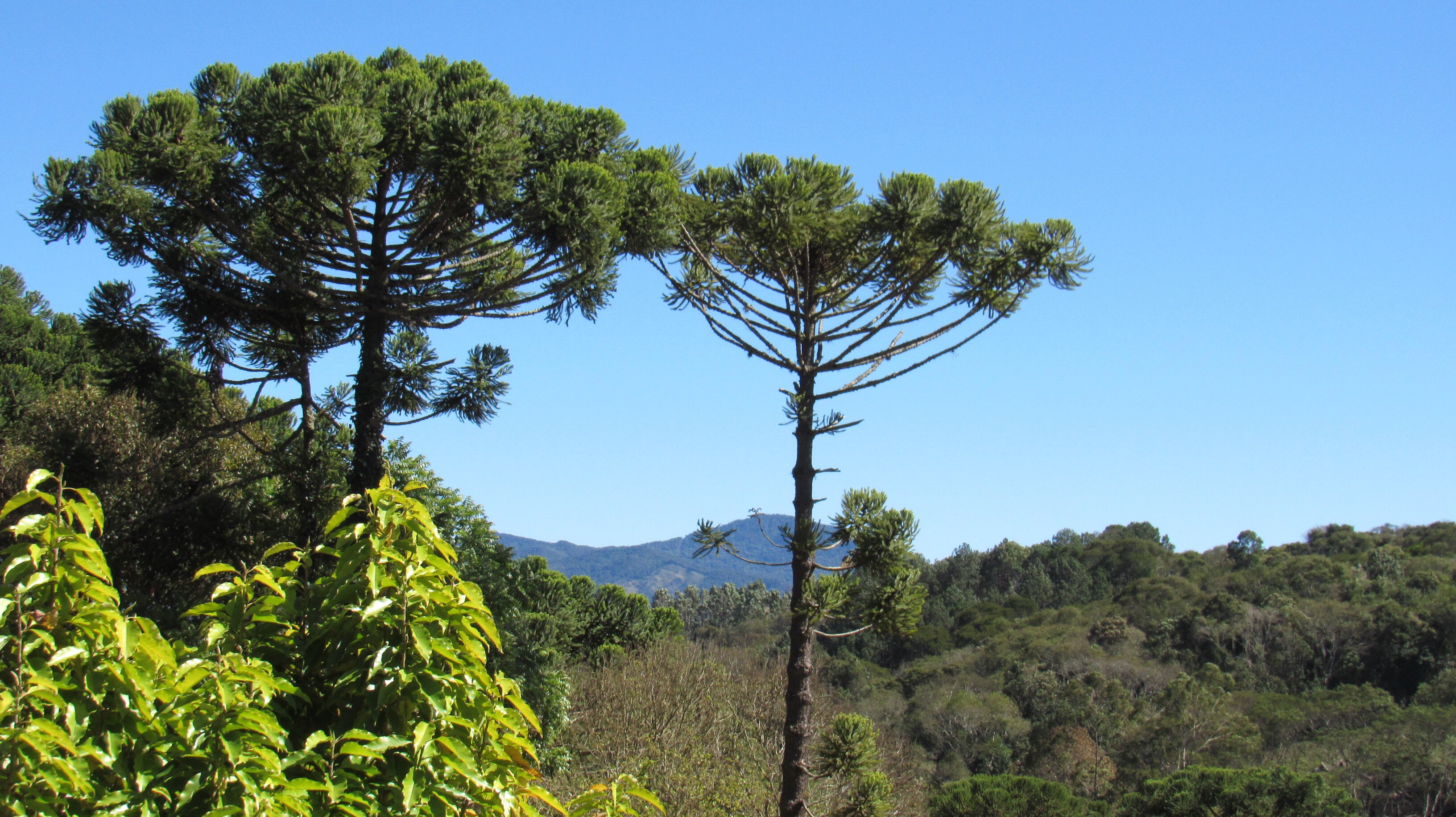Pousada Quatro Estações-酒店景观