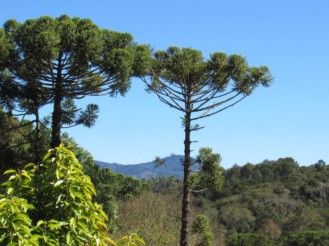 Pousada Quatro Estações主图