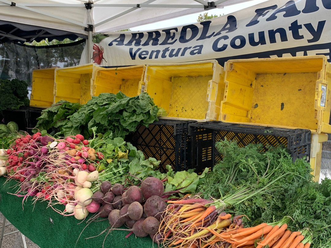 Camarillo Farmers Market景点图片