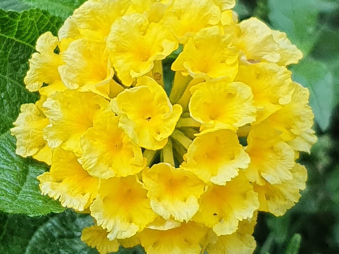 Aphrodite Art Hotel Aegina主图