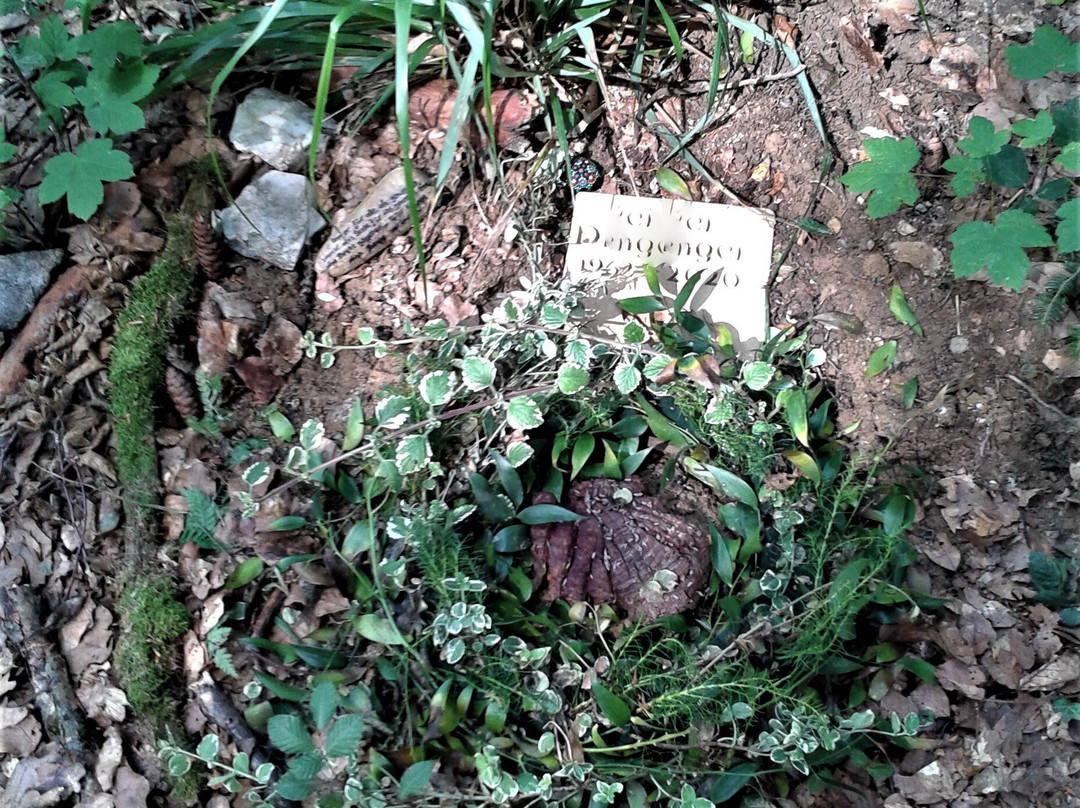 Ruhewald Wittnau-Wittnau必去景点