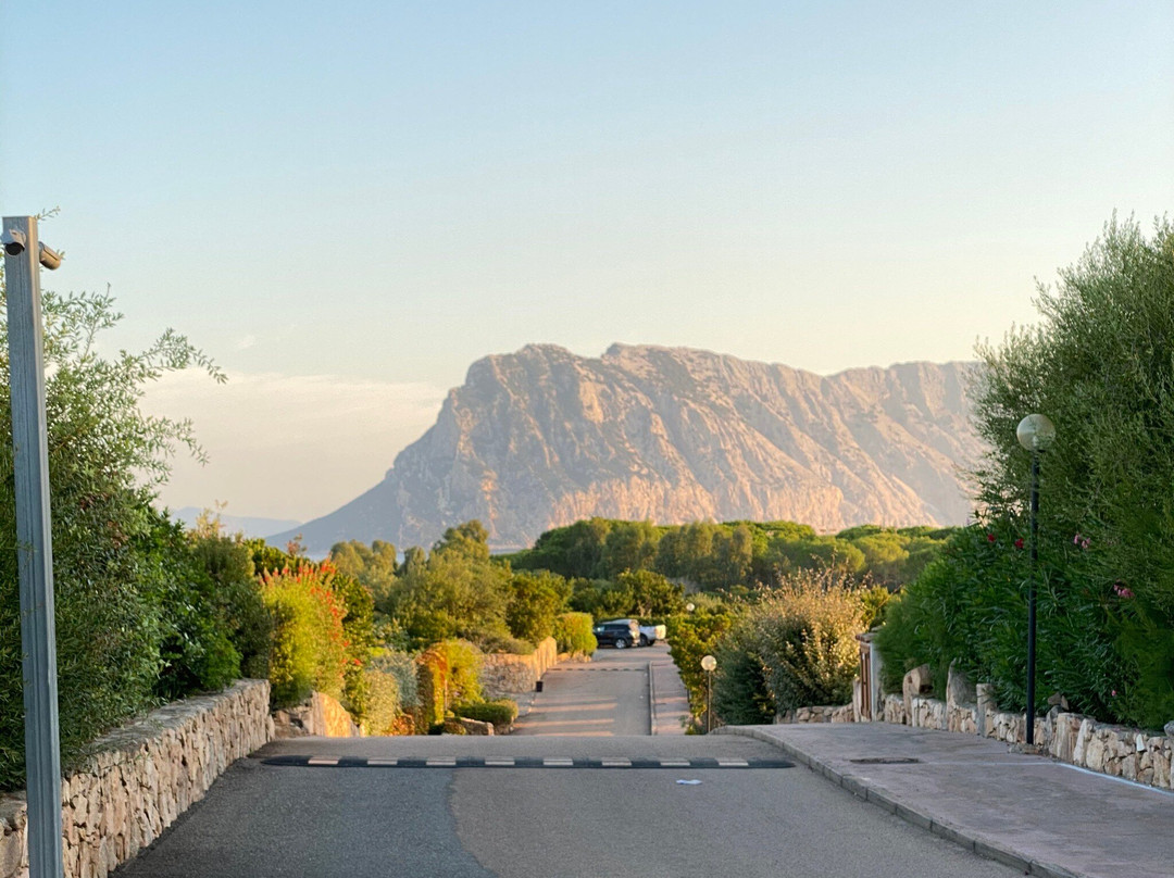 Residence Baia Salinedda主图