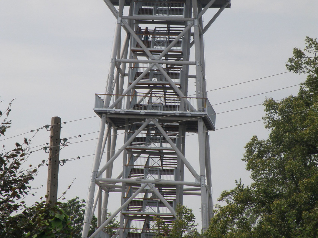 Observation tower in Wdzydze Kiszewskie景点图片