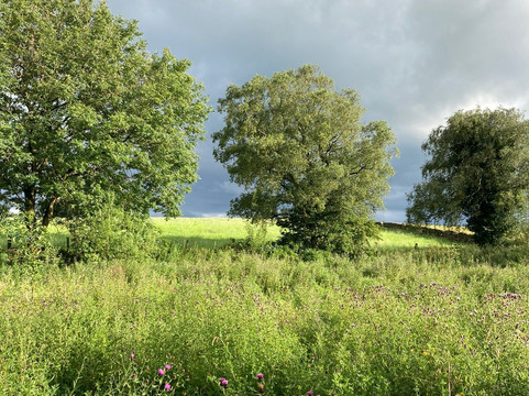 The Inside Trek-贝尔法斯特必去景点