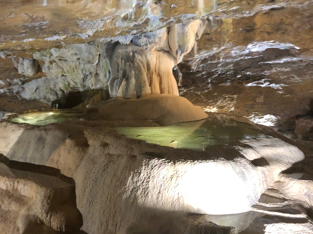 Les Grottes de La Balme景点图片
