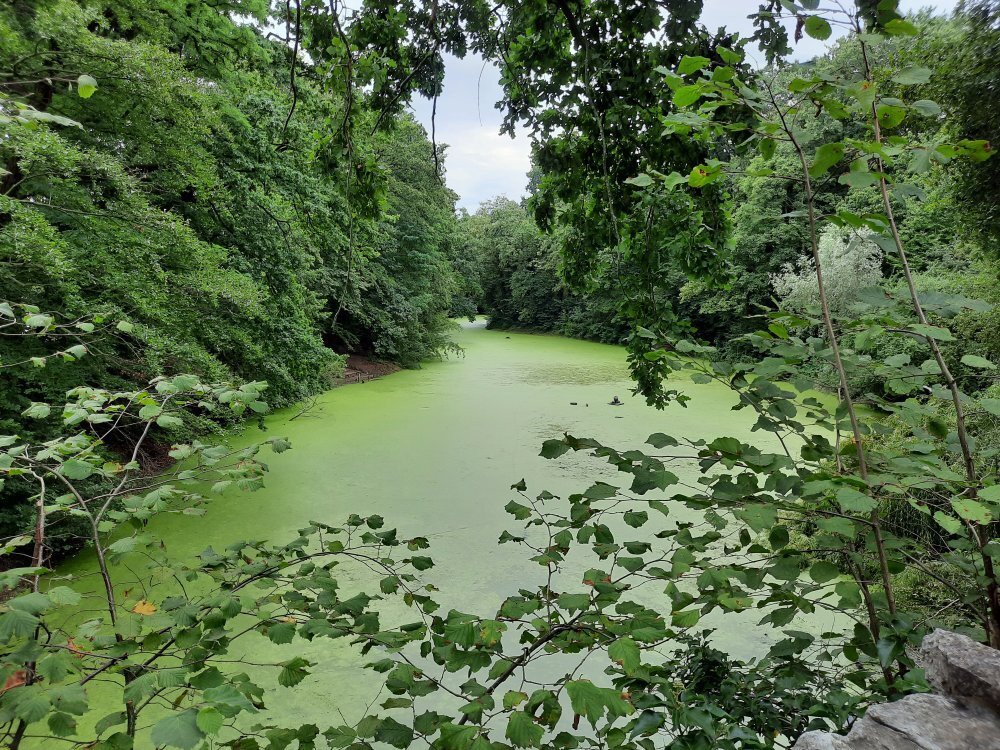 Boekenbergpark-安特卫普必去景点