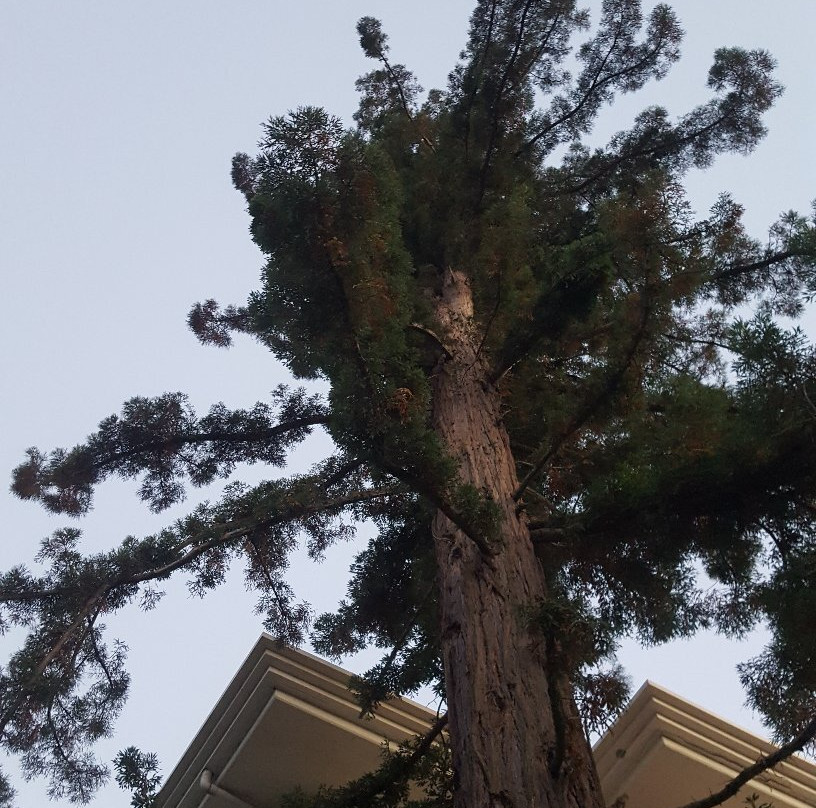 Hotel Gioia Garden主图