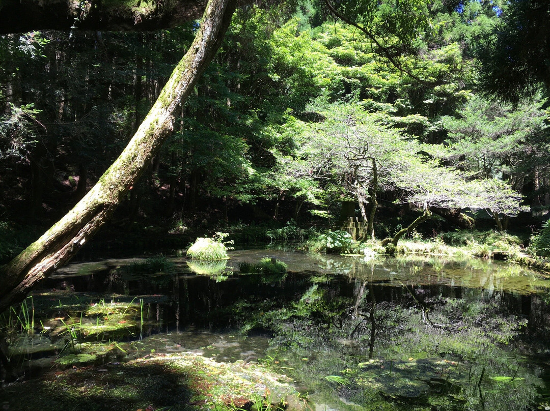 Yamabuki Spring景点图片