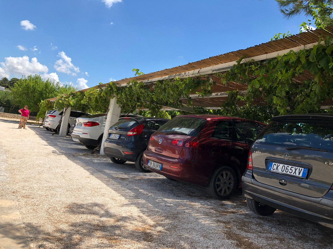 莎里诺拉农庄酒店主图