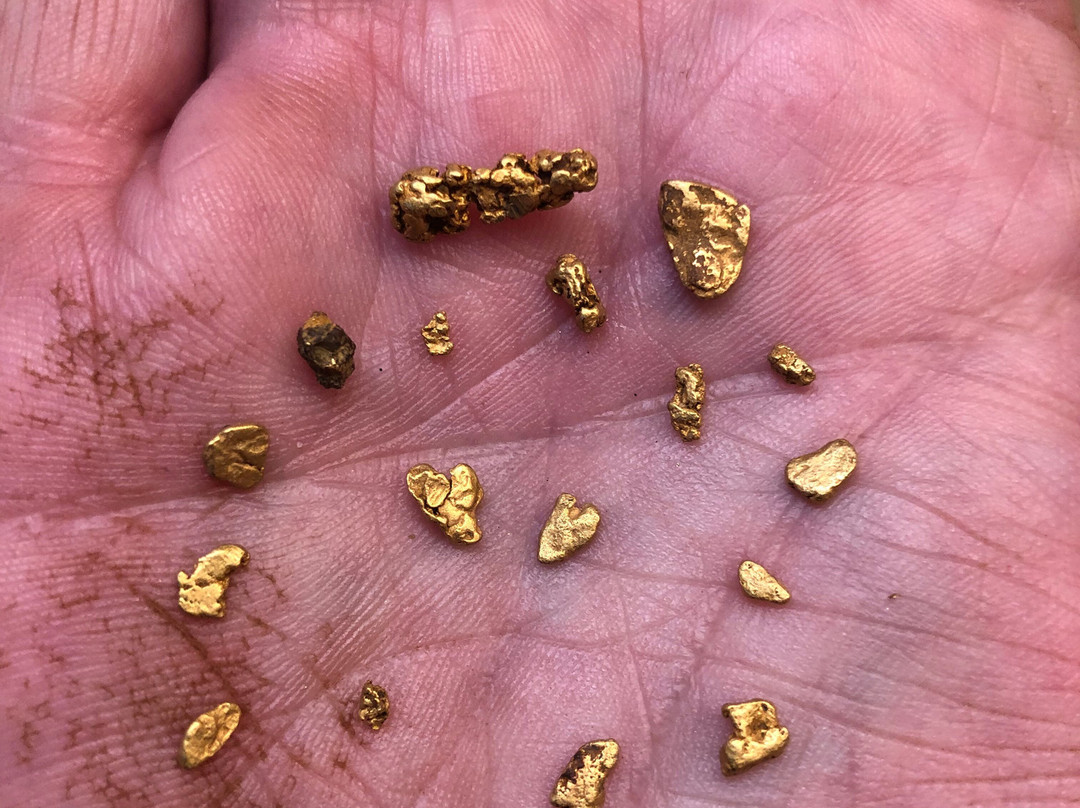Roaring Camp Mining Company景点图片