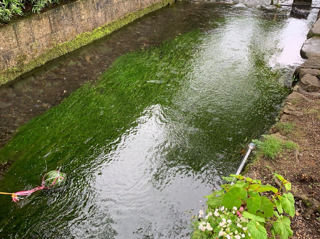 Samegai-juku-米原市必去景点