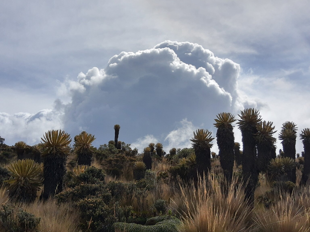 DESTINOS Y RUTAS DE COLOMBIA-Manizales必去景点