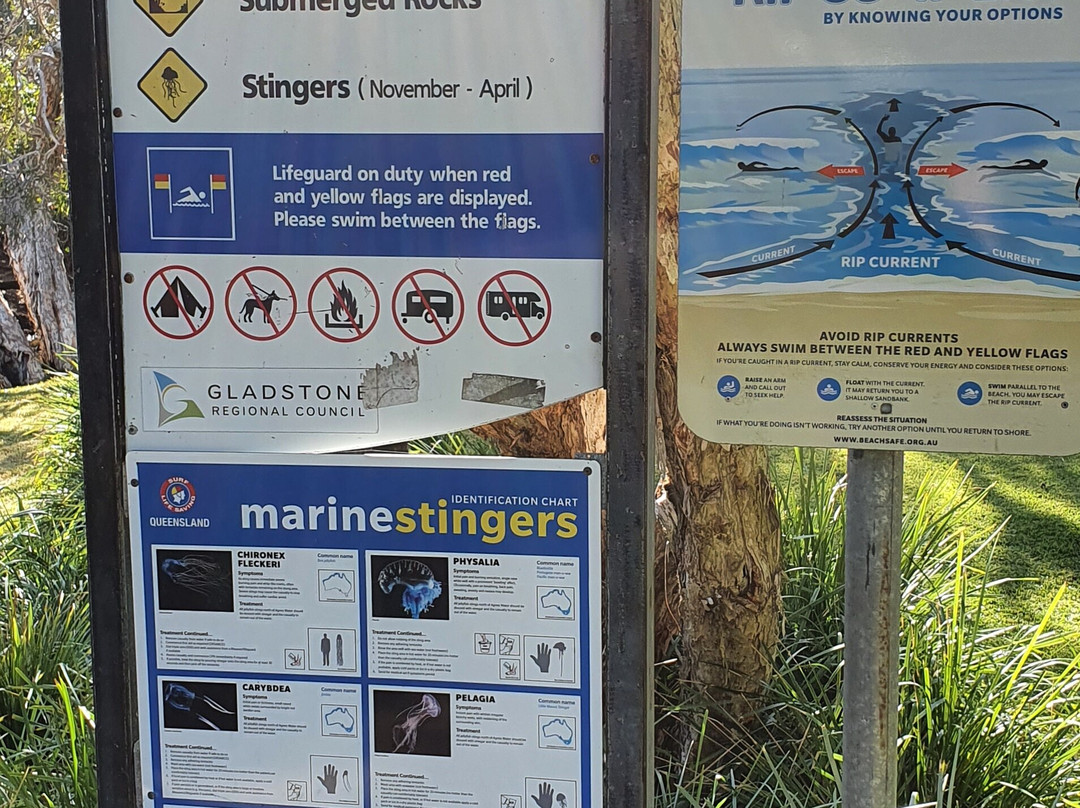 Agnes Water Main Beach-Agnes Water必去景点