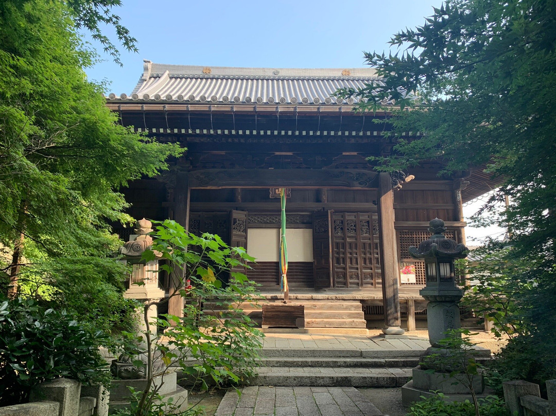 Shanain-长滨市必去景点