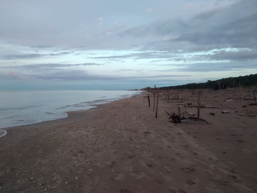 Spiaggia Libera Lido di Classe-Lido di Classe必去景点