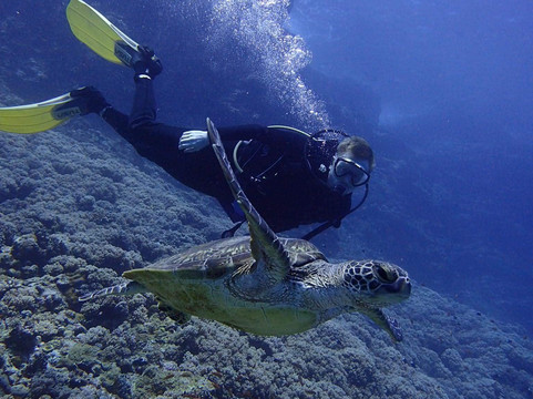 Okinawa 39ers-北谷町必去景点