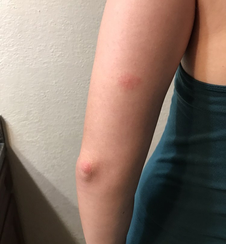 Super 8 by Wyndham Houghton Lake主图