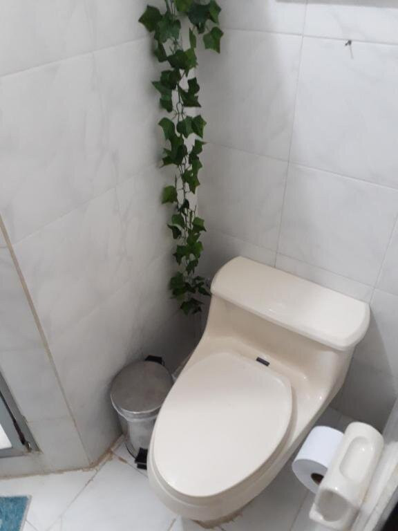 Casa Hotel Boutique Ana Lorenza主图