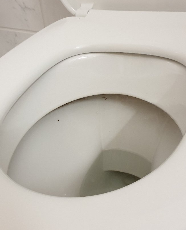 Hotel Radduscher Hafen主图