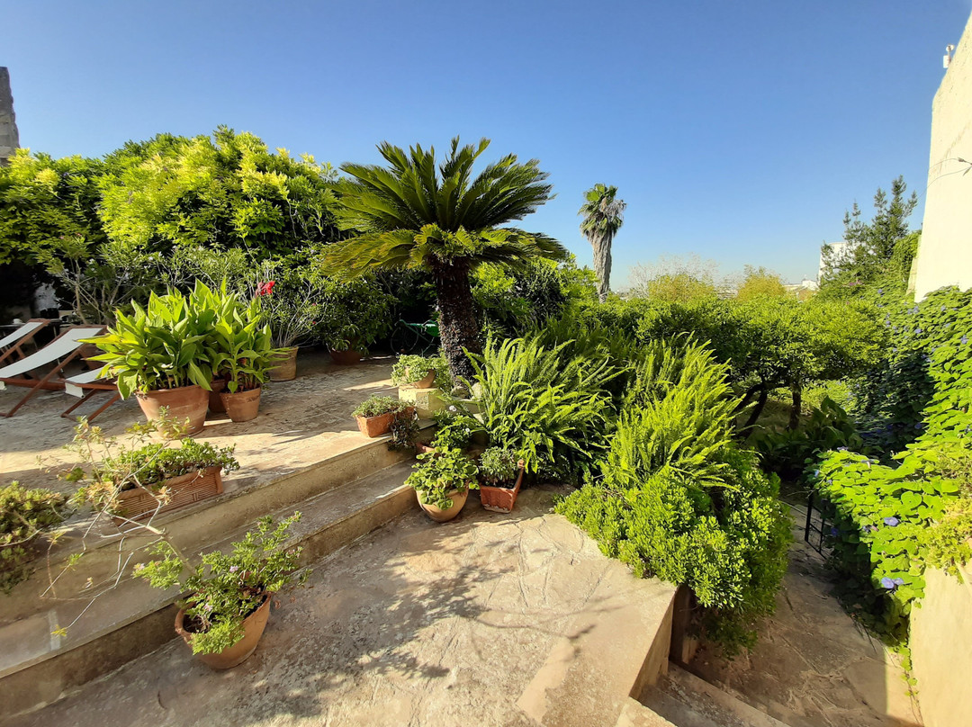 Casale del Forno B&B主图