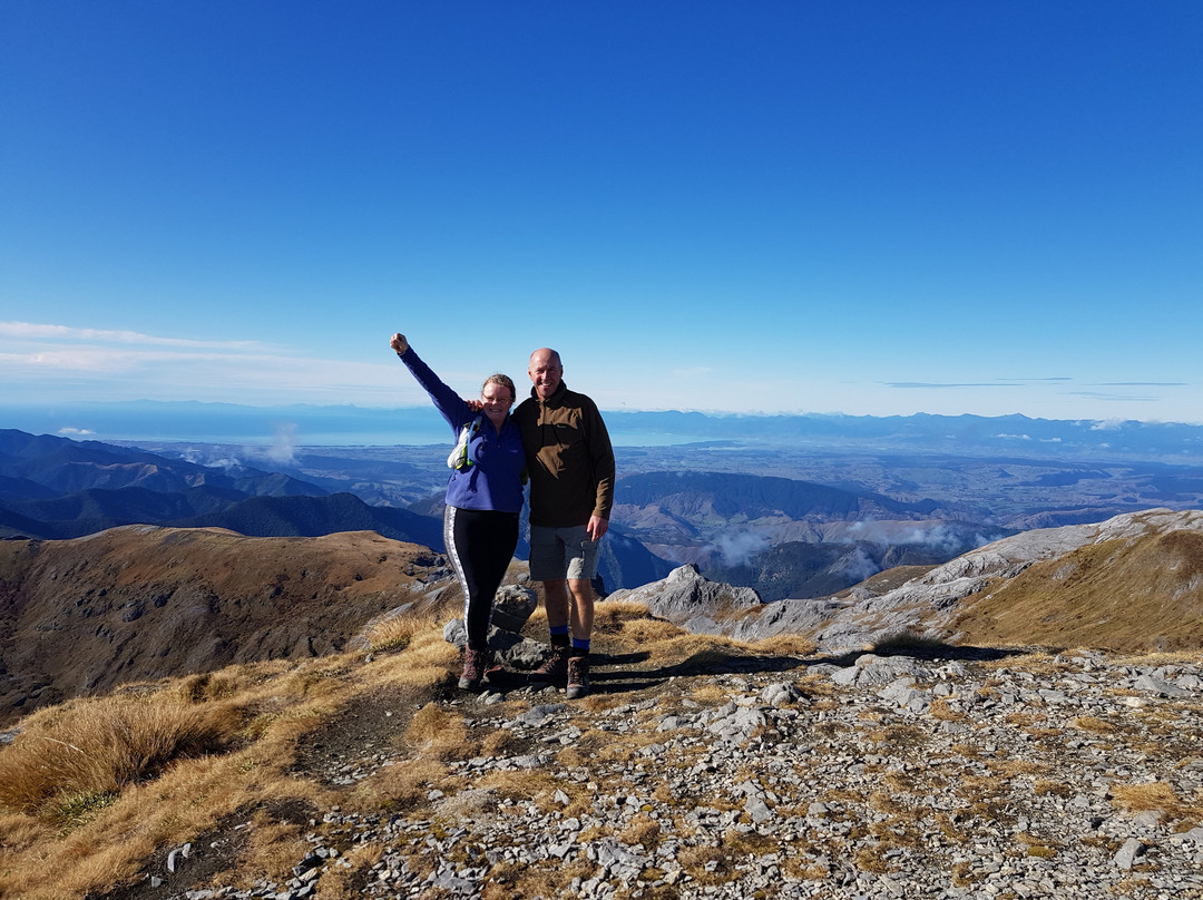Flora Hut & Mount Arthur Hut tracks景点图片