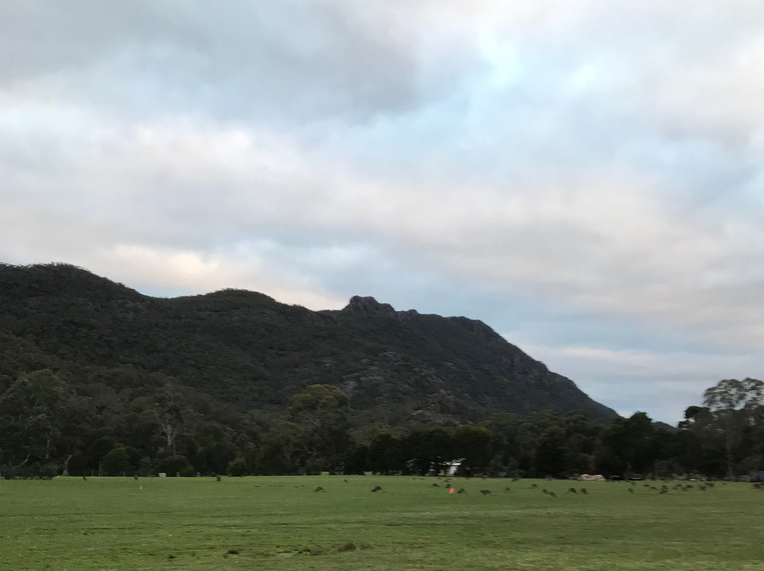 笑翠鸟汽车旅馆主图