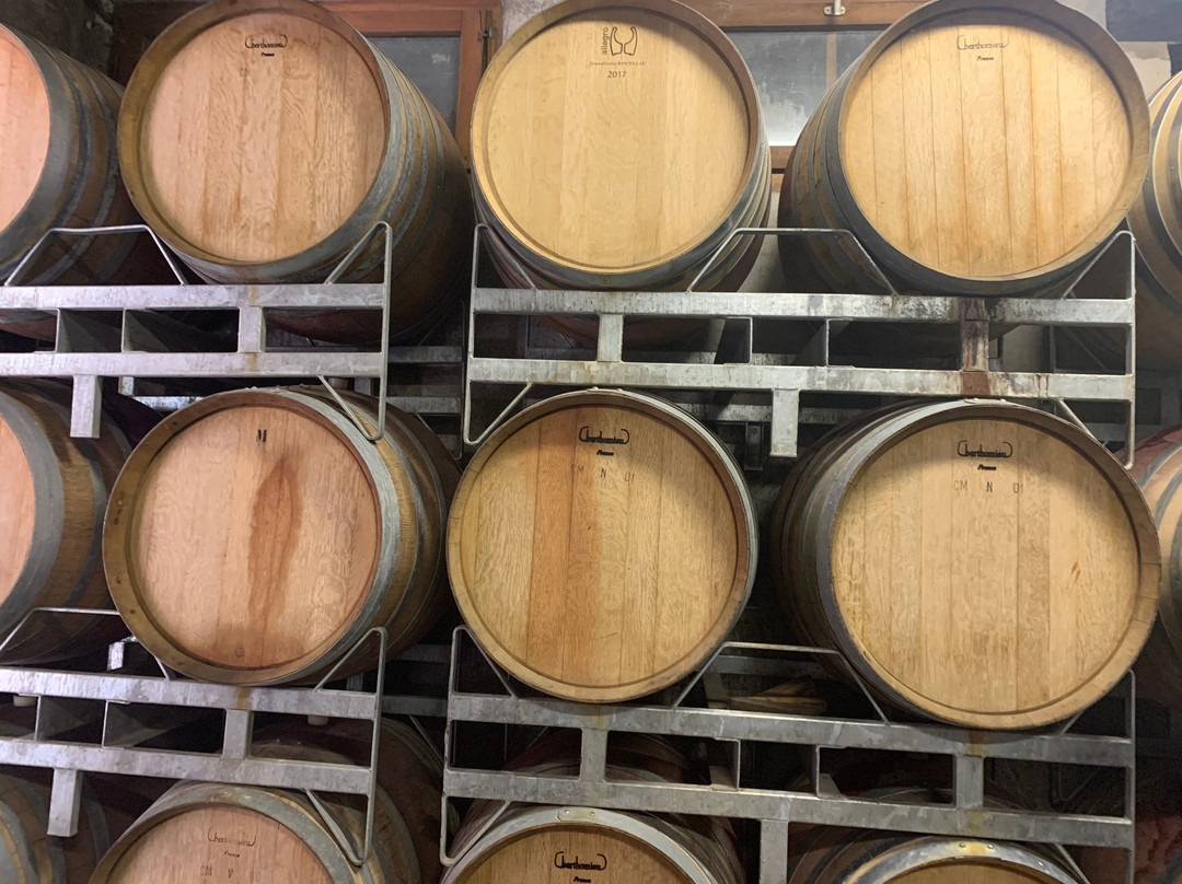 Vin d'Alsace HORCHER景点图片