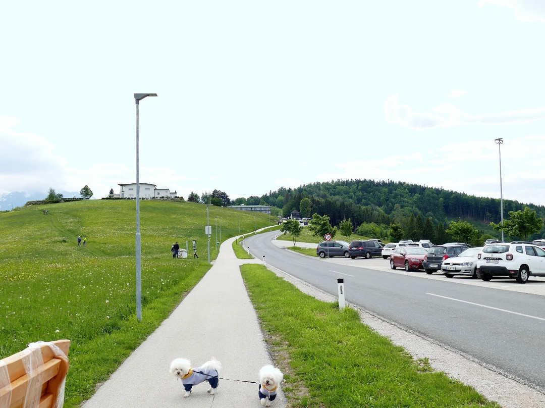 Berggasthof & Pension Urz'n主图